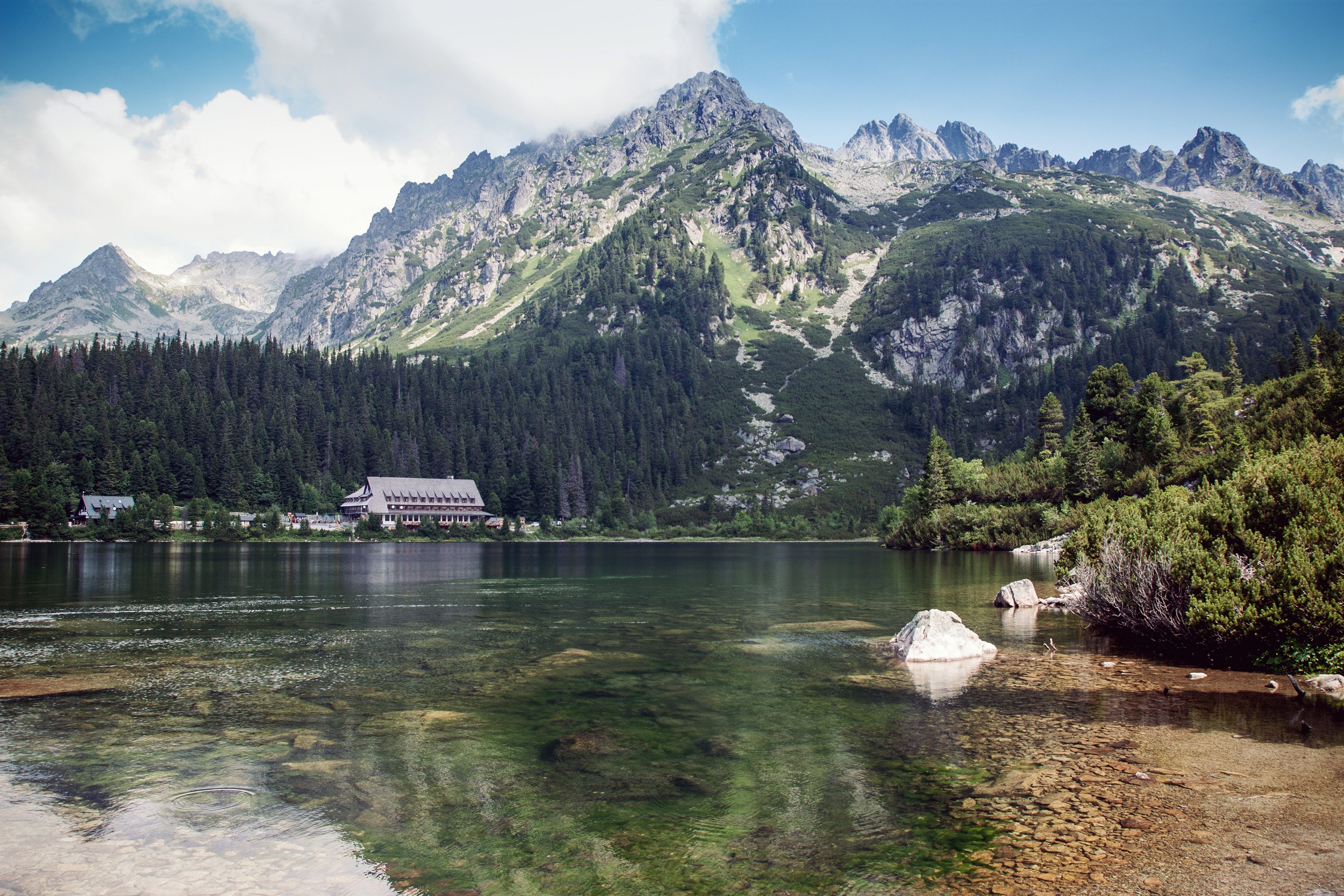 zdroj: unsplash.com